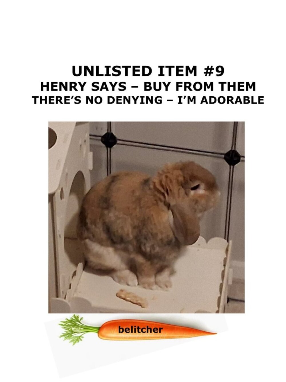 Unlisted Flyer #9